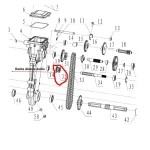 Roata dintata dubla, reductor RURIS PS6500k-1-32, pentru motosapa Dac, Ruris, Zimbru, Gigant