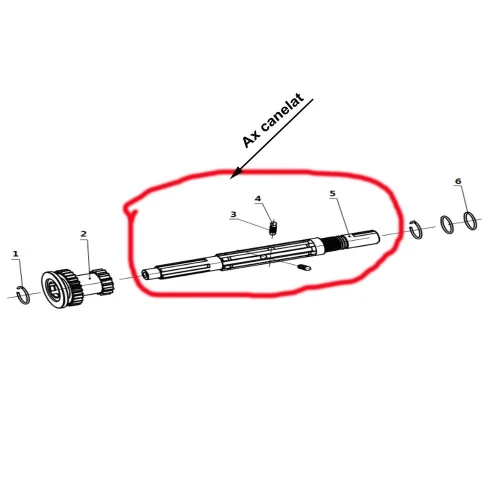 Ax canelat transmisie RURIS PS721K-4-5, pentru motocultor Ruris 721K
