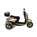 Tricicleta electrica Rotakt Explorer fara permis CIV inclus viteza 25 km/h autonomie 40 km